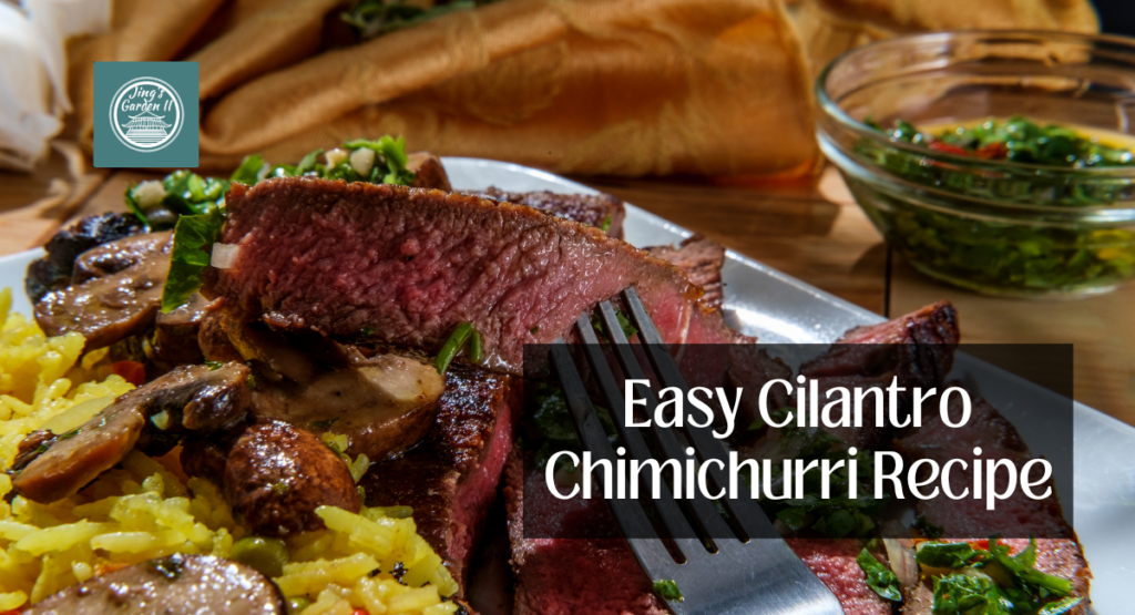 Easy Cilantro Chimichurri Recipe