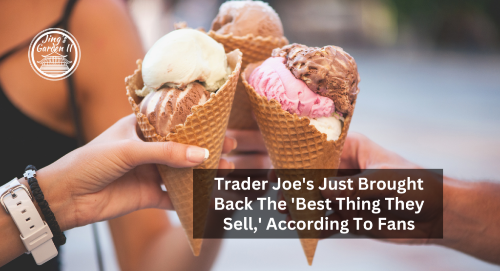 Trader Joe's Just Brought Back The 'Best Thing They Sell,' According To Fans