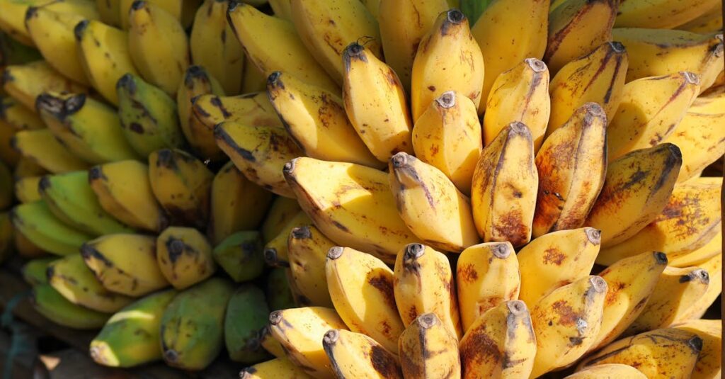 Is 2 Bananas a Day Too Much? Discover the Surprising Truth!