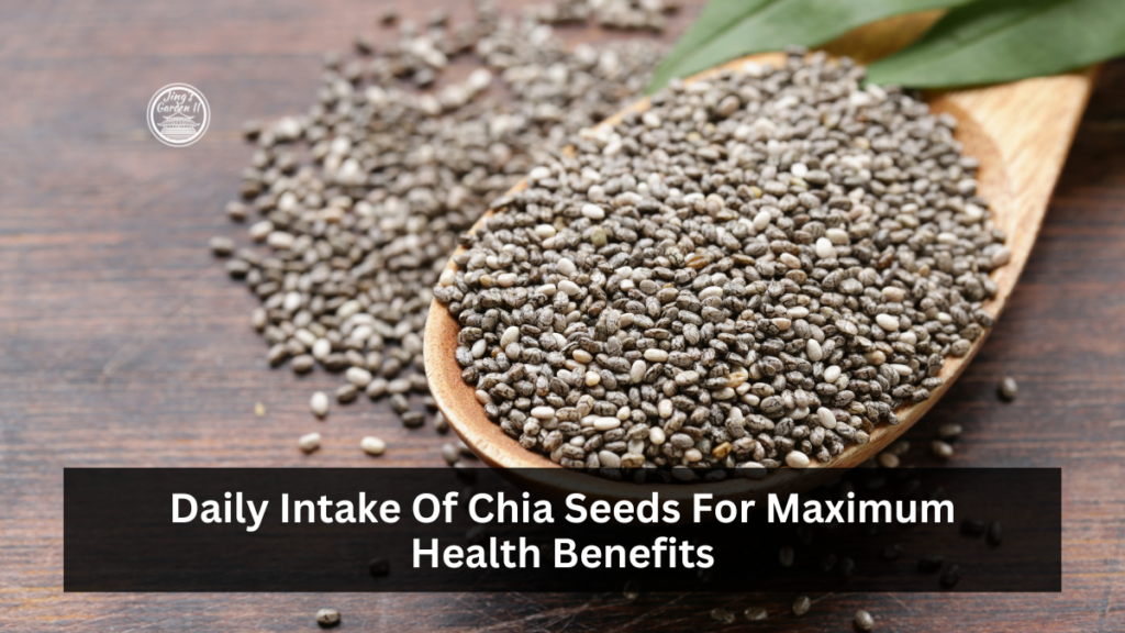 Daily Intake Of Chia Seeds For Maximum Health Benefits